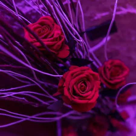 B&B Le Dimore Del Garibaldi 4*