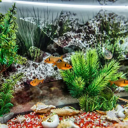 Le Dimore Del Garibaldi Bed & Breakfast 4*